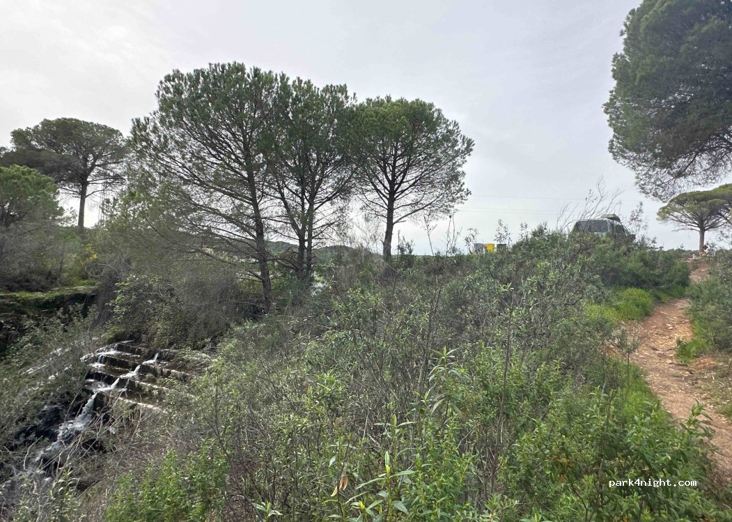 (21650) El Zumajo - Unnamed Road — foto 3