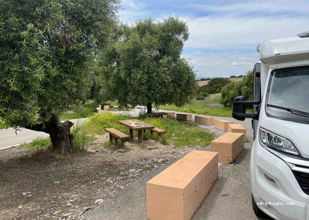 (11660) Prado del Rey - — foto 2