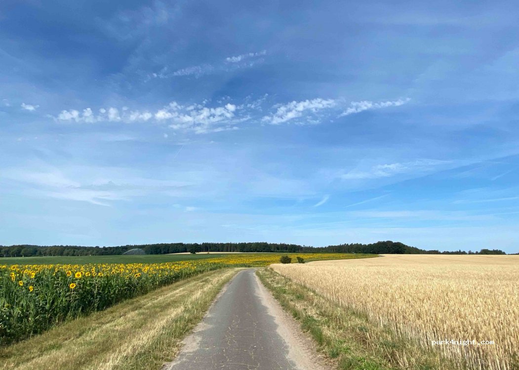 (29699) Bomlitz - 19 Klein-Harler-Straße — foto