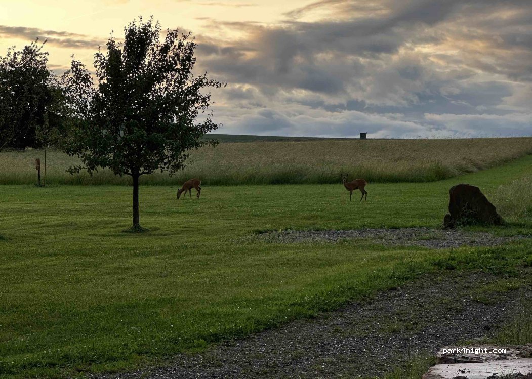 Walthers Campingplatz — foto 4
