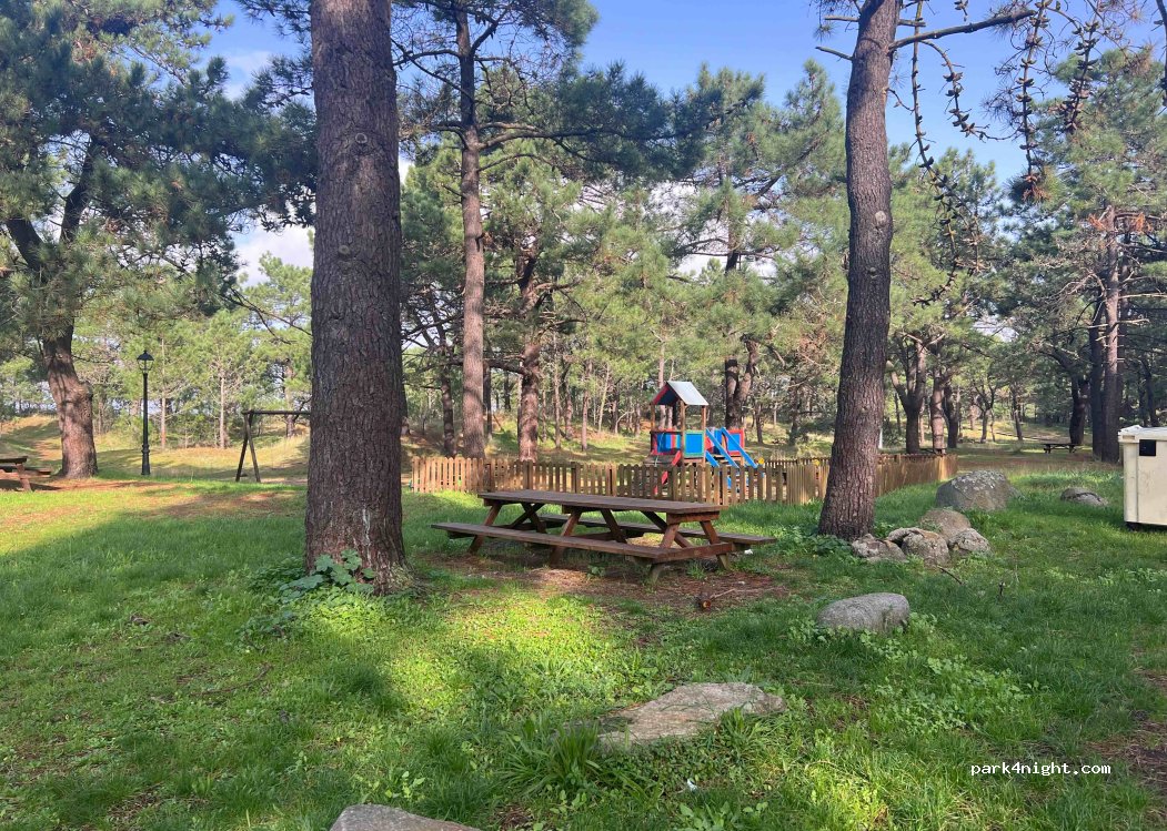 (15337) Manón - 1 Lugar Sabaido — foto 5