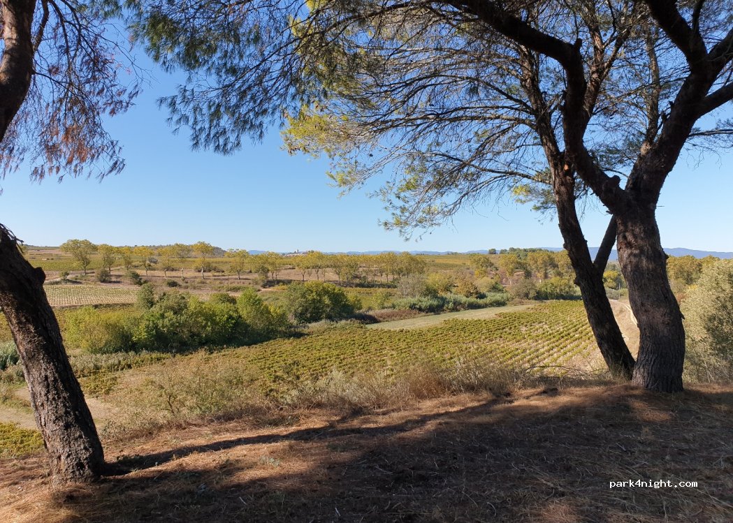 (34290) Coulobres - Unnamed Road — foto 2