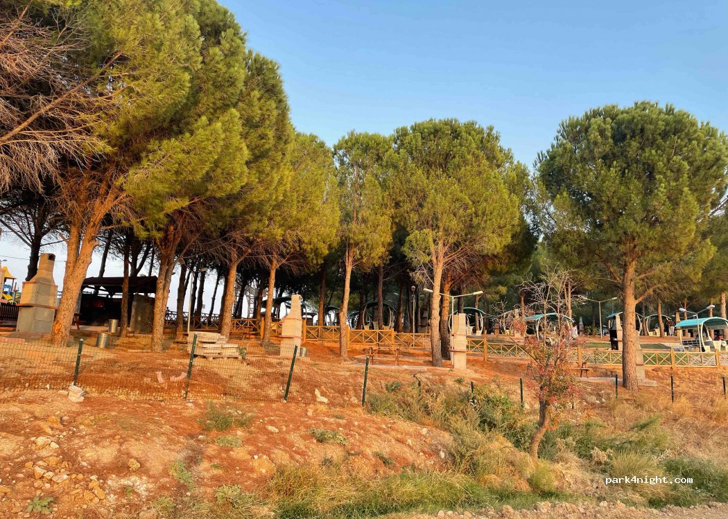 (45500) Soma - Sevişler Köyü İç Yolu — foto 2