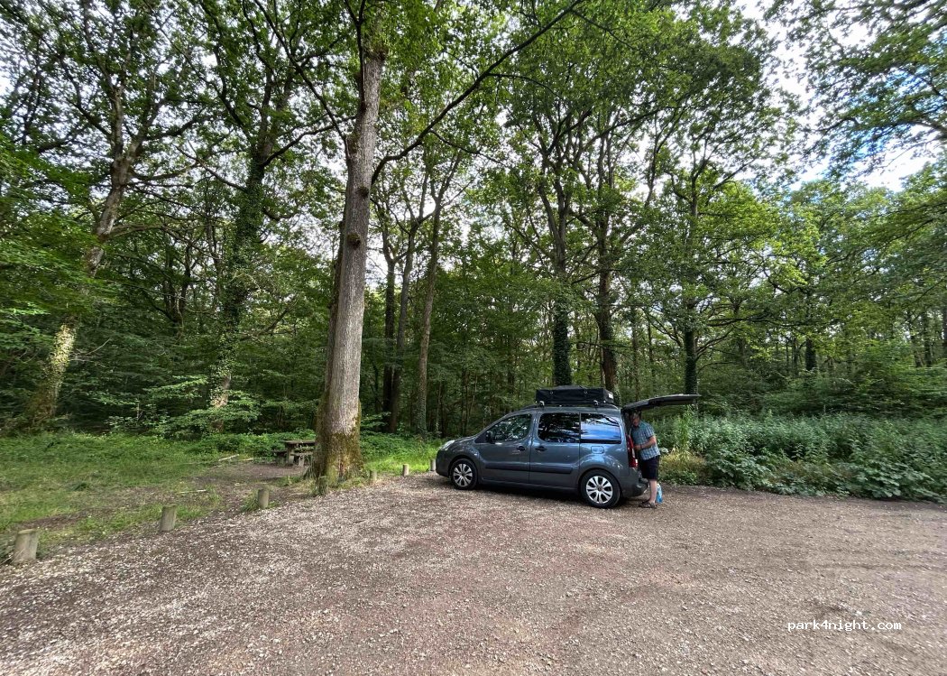 (91410) Dourdan - — foto 3