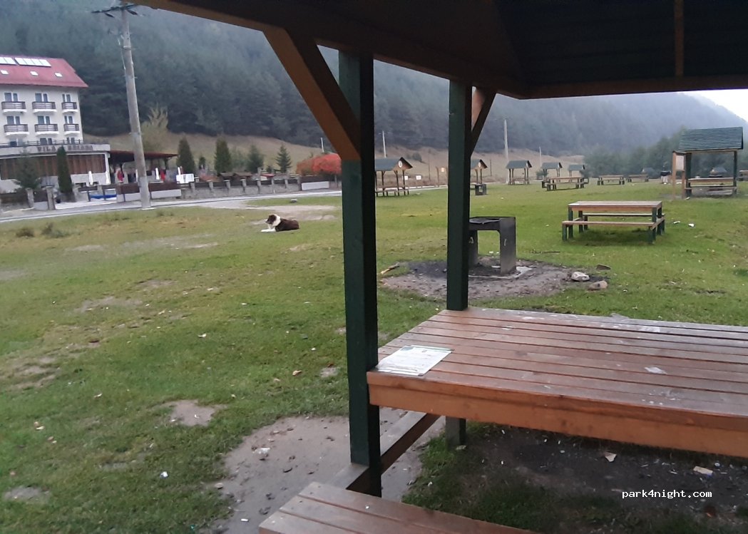 (557200) Rășinari - — foto
