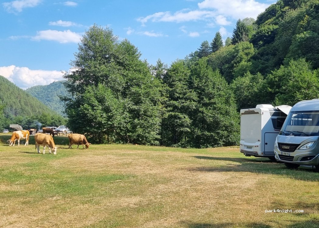(557200) Rășinari - — foto 3