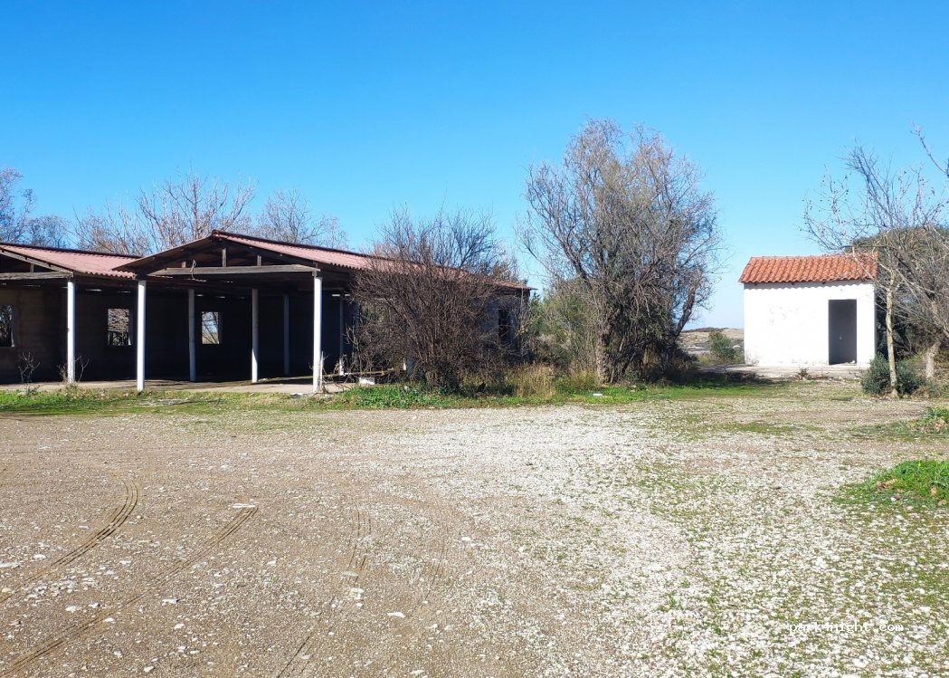 (270 54) Zacharo - Unnamed Road — foto 3