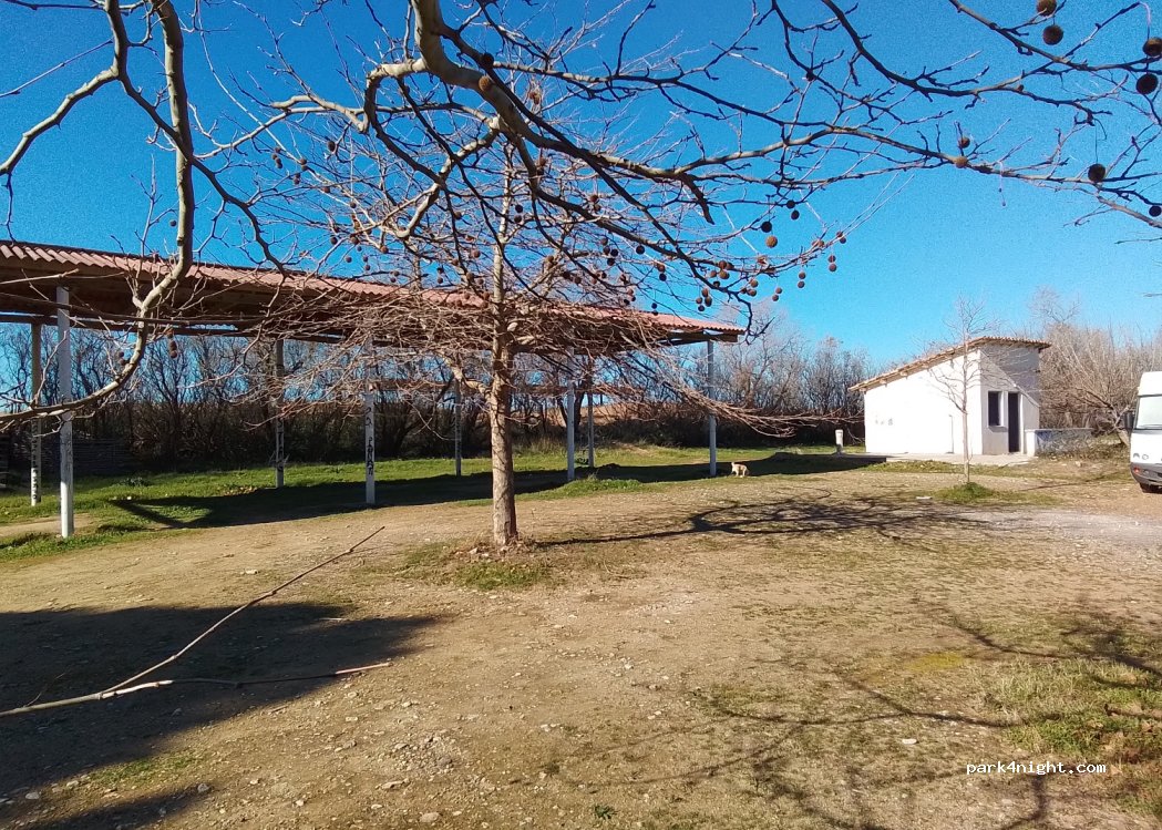 (270 54) Zacharo - Unnamed Road — foto 4