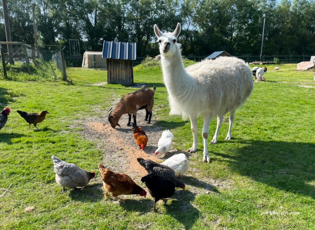 La Ferme Du Point Du Jour — foto 4