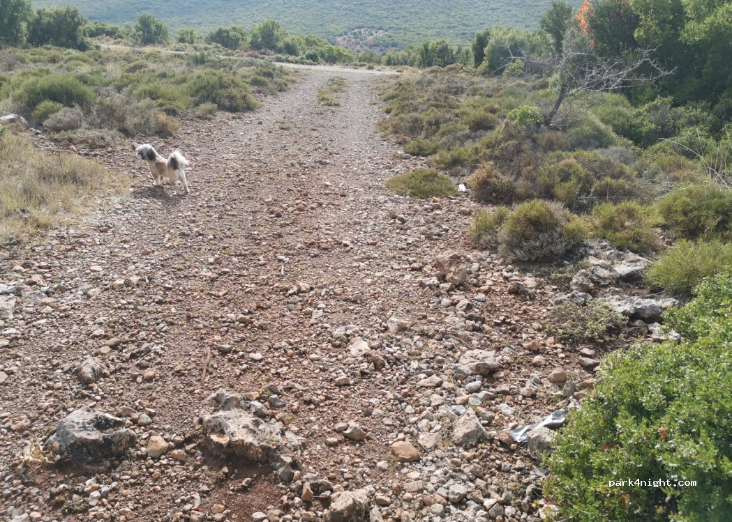 (420 32) Pili - Unnamed Road — foto 2