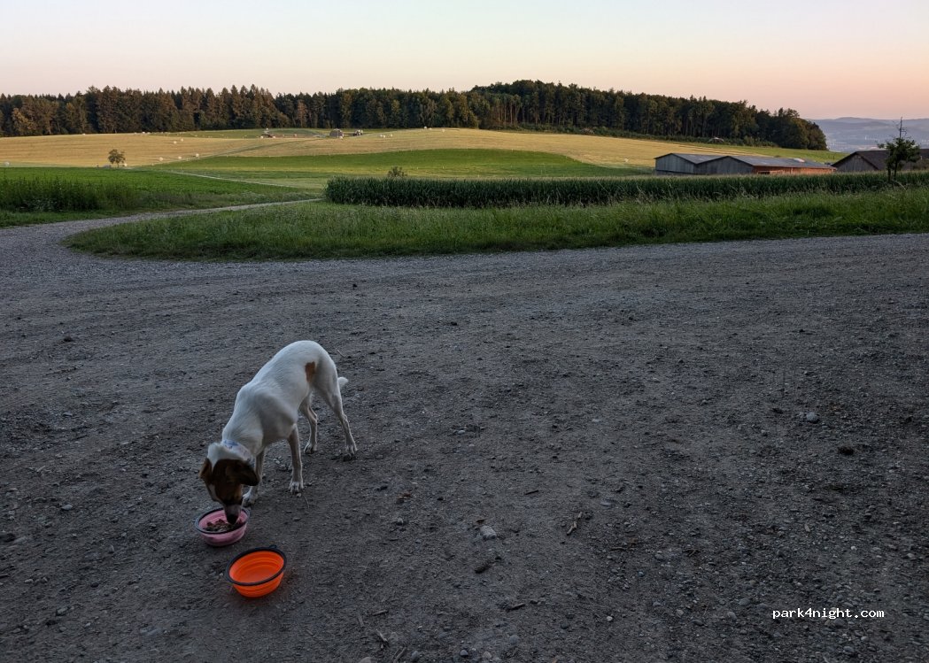 () Hüttwilen - — foto 4