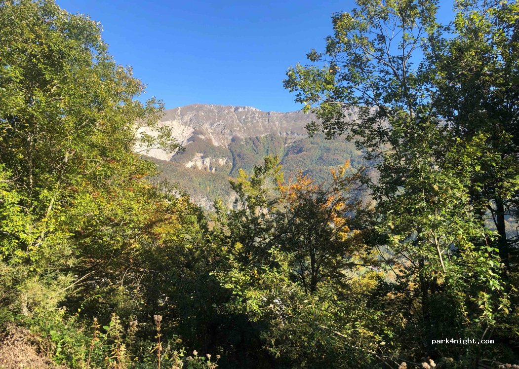 (01410) Chézery-Forens - — foto