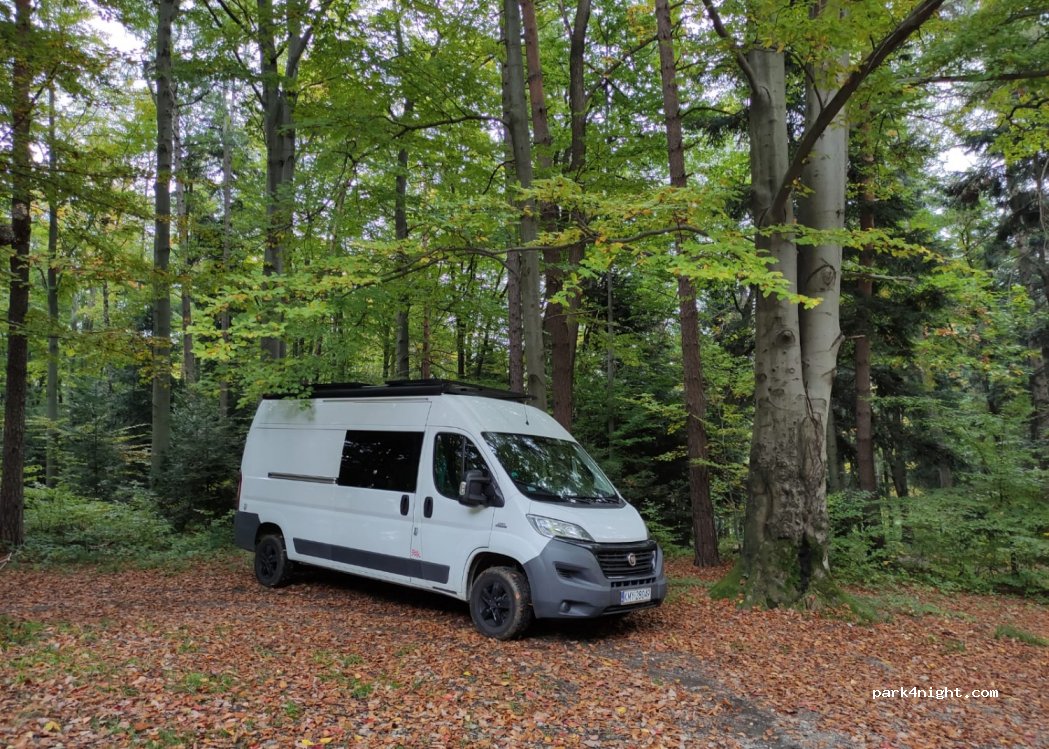 (32-425) Zasań - — foto