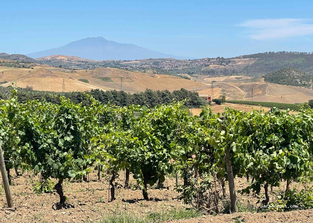 Agriturismo Gigliotto — foto 4