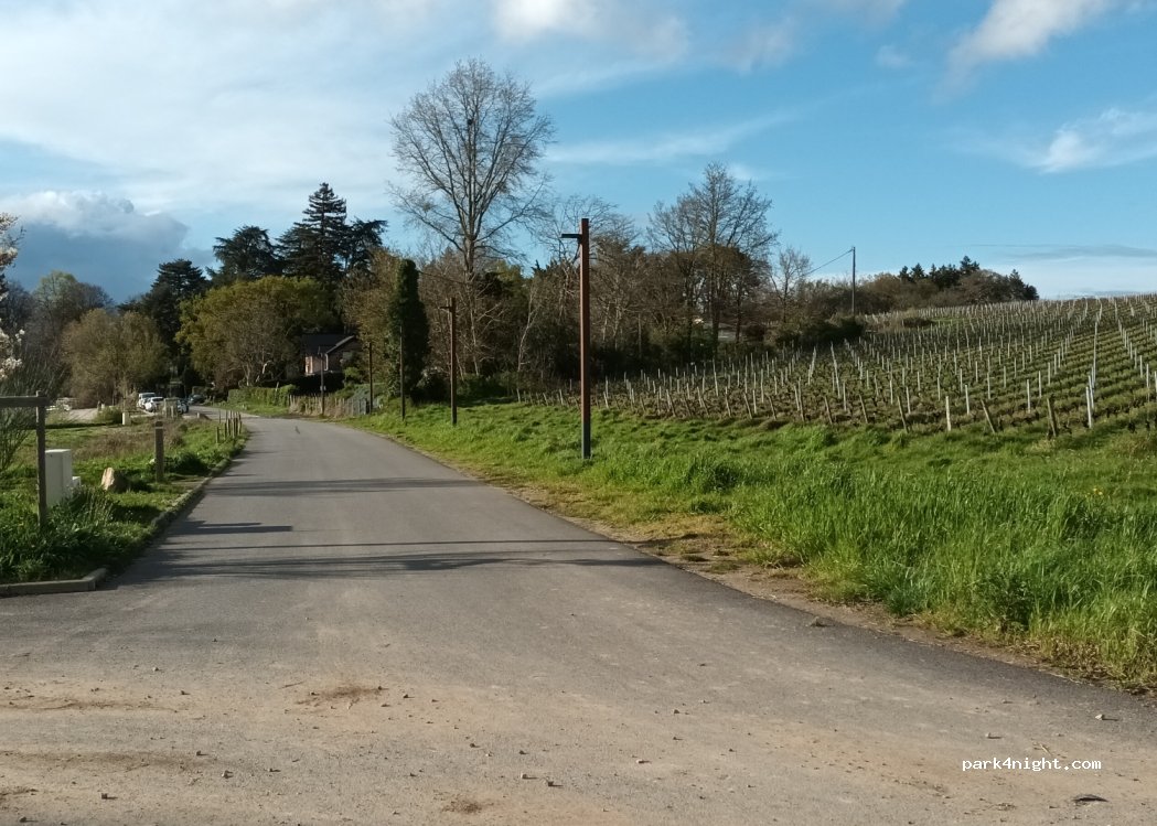 (44470) Carquefou - 60 Chemin de Port Jean — foto 3