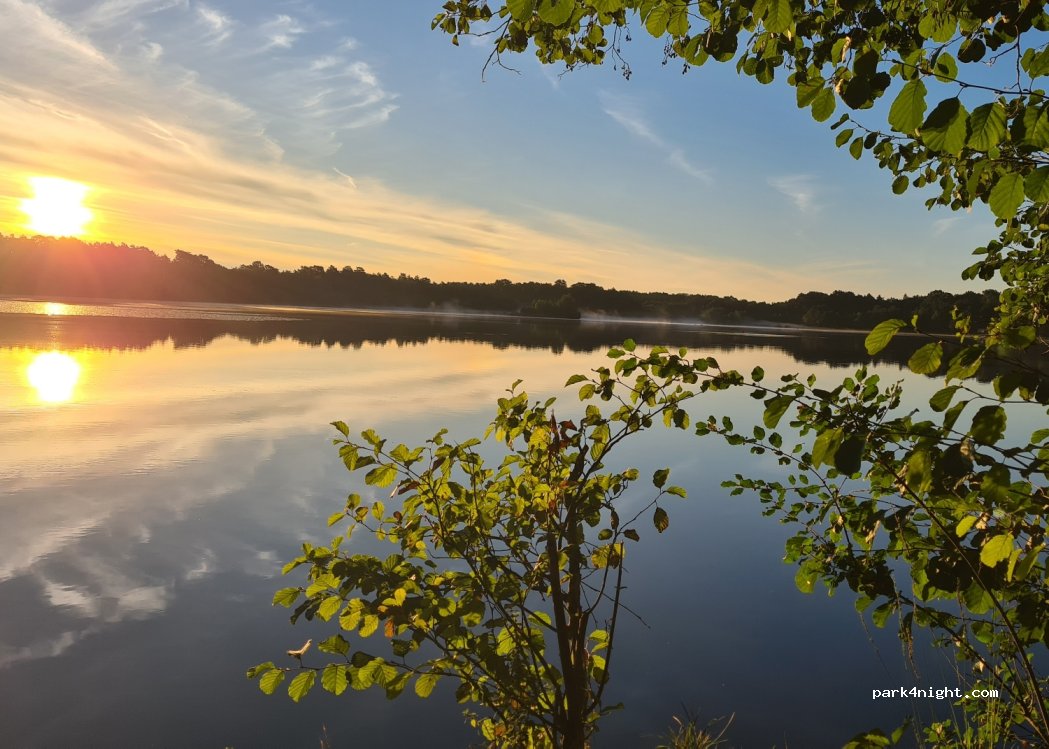 (41600) Nouan-le-Fuzelier - — foto 4