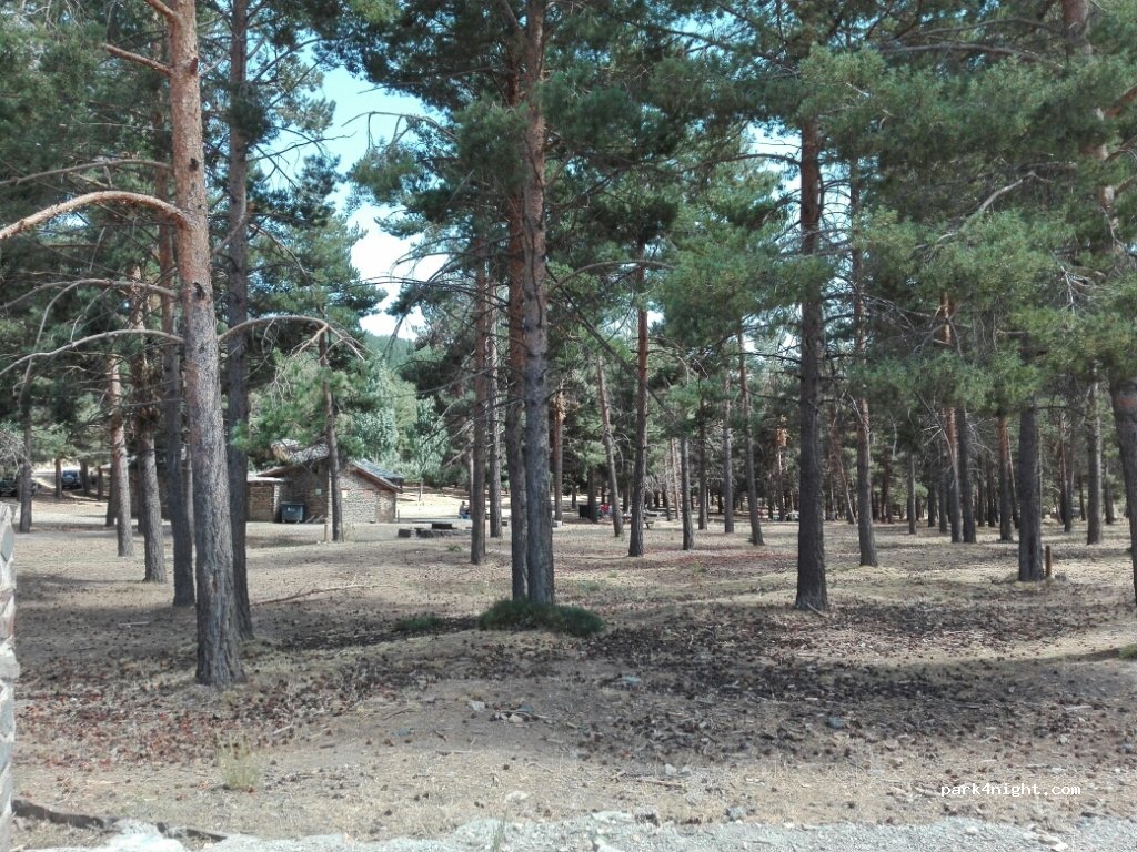 (18513) Ferreira - A-337 — foto 2