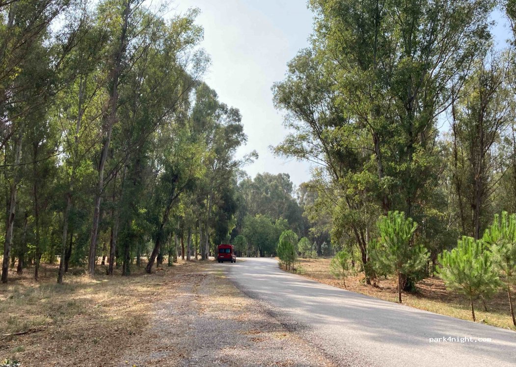 (35620) Kaklıç - Sasalı Piknik Alanı — foto 3