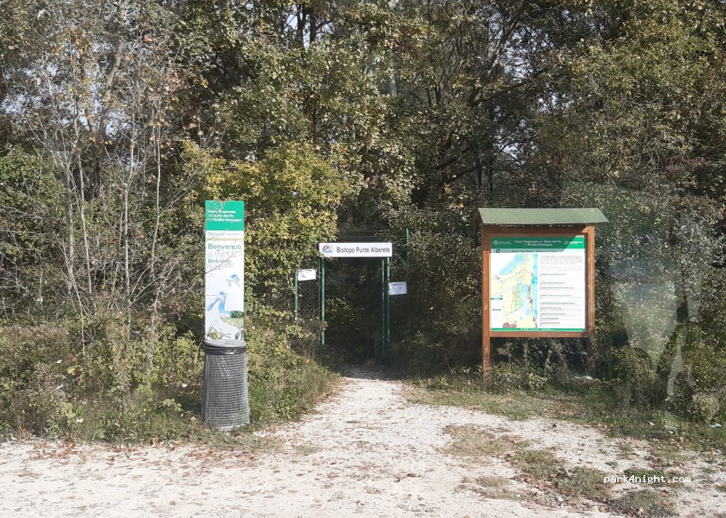 Parcheggio Oasi di Punte Alberete — foto