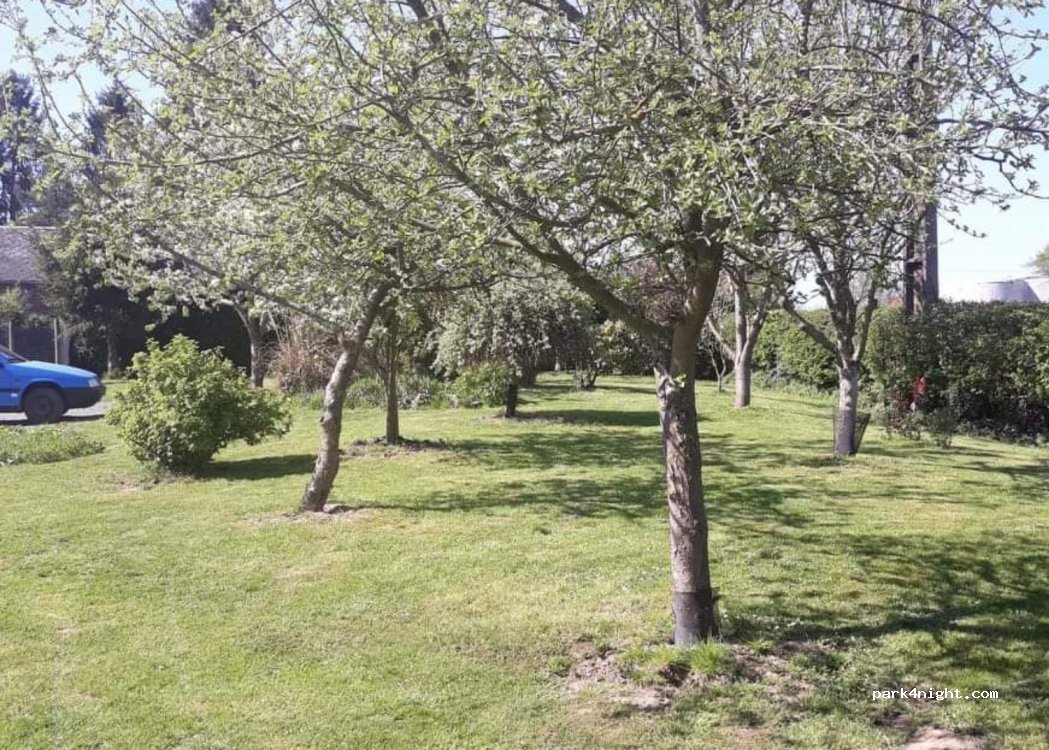 (59360) Ors - 2T Rue de la Verte Vallée — foto 2