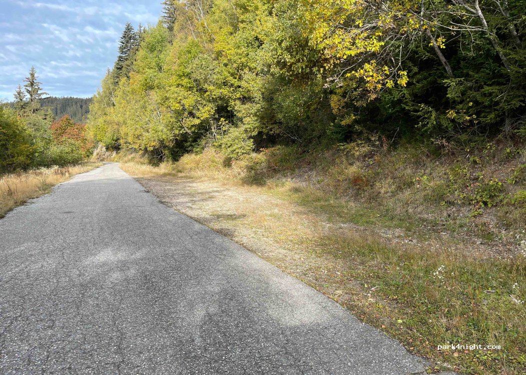 (73720) Queige - Route Forestière des Orcerets — foto 2