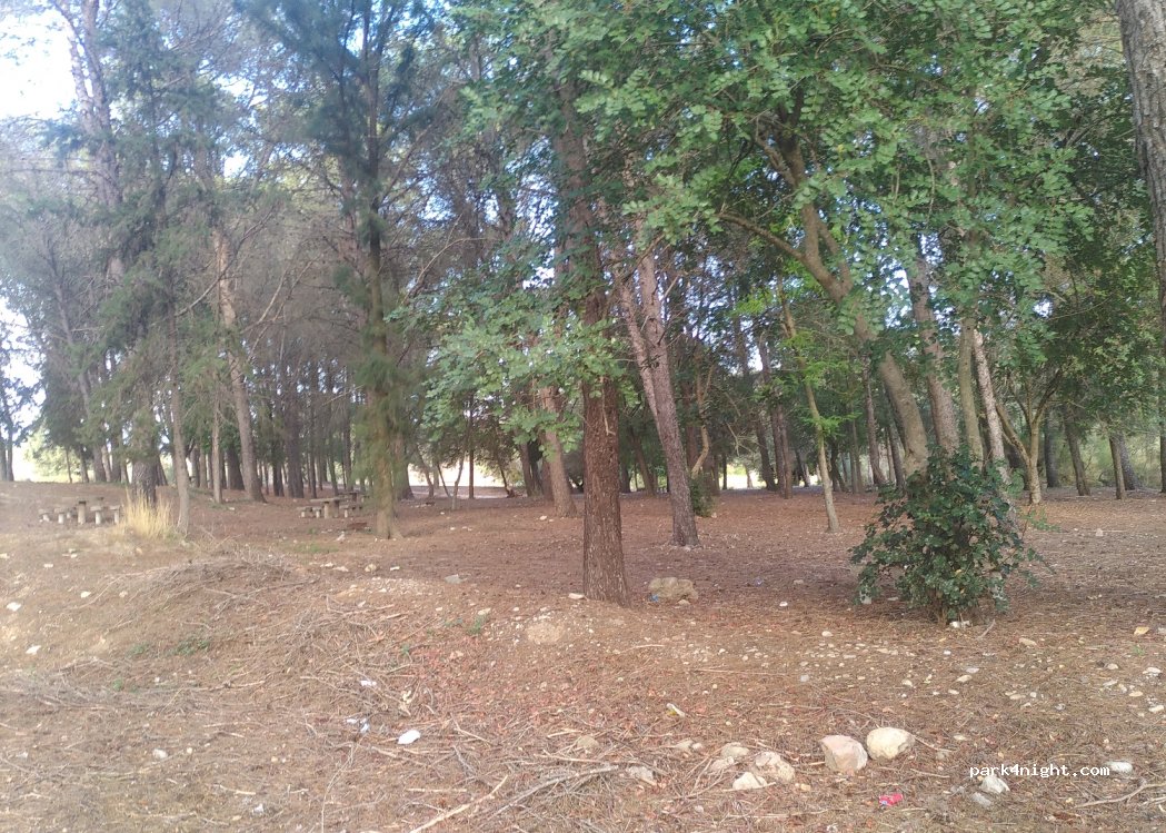 (11630) Arcos de la Frontera - — foto 2