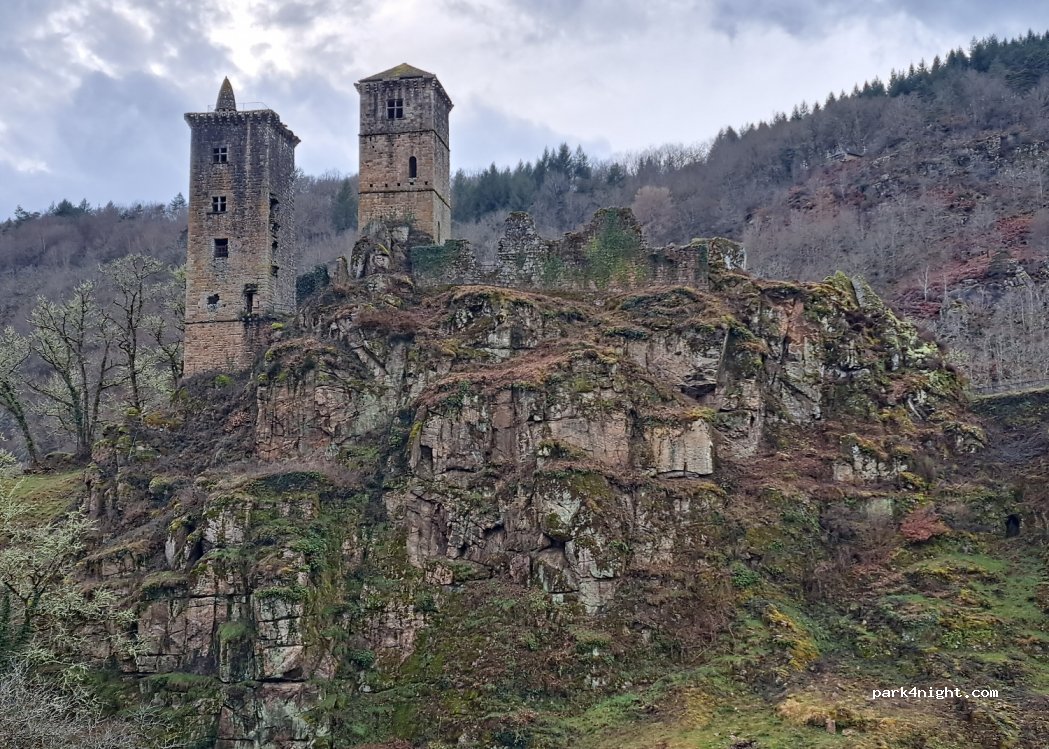 (19220) Saint-Geniez-ô-Merle - 2 Merle — foto 4