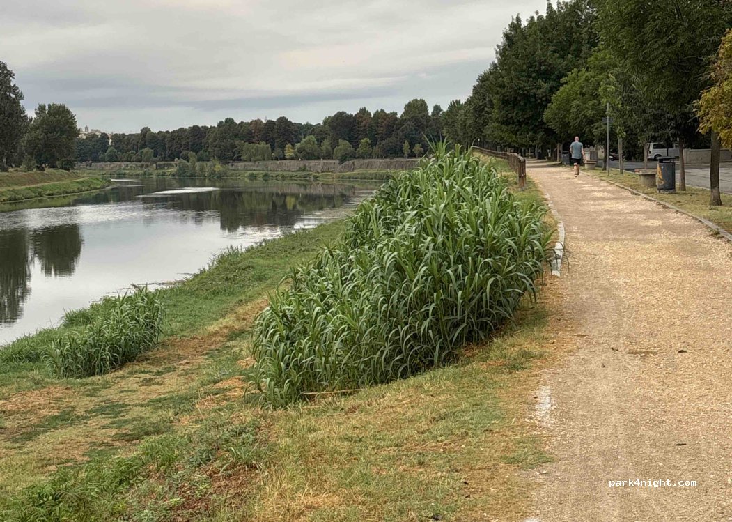 (50136) Firenze - Via Fabrizio de Andrè — foto 3