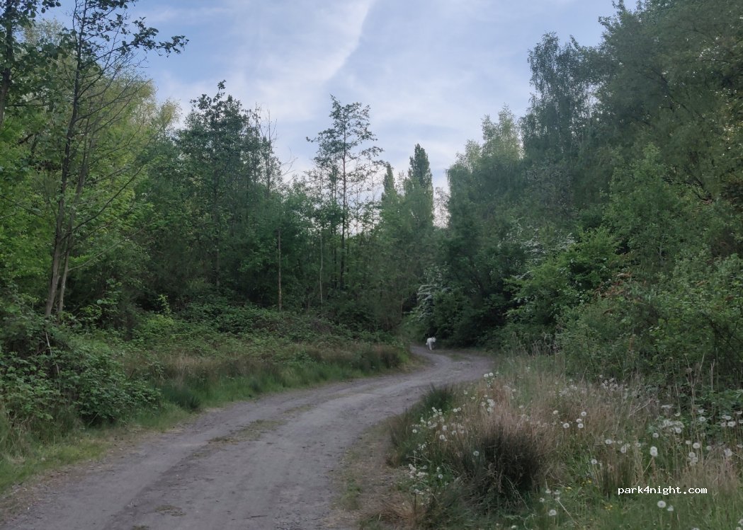(6150) Anderlues - 6150 Sentier du Viaduc — foto 4