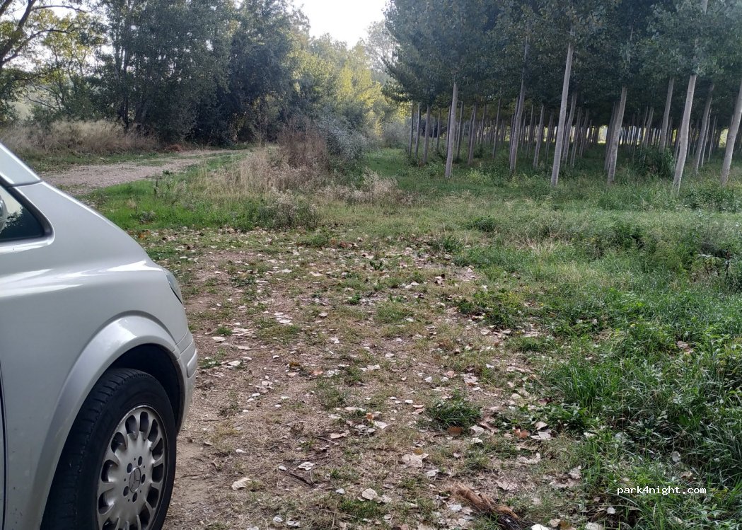 (50640) Luceni - Unnamed Road — foto