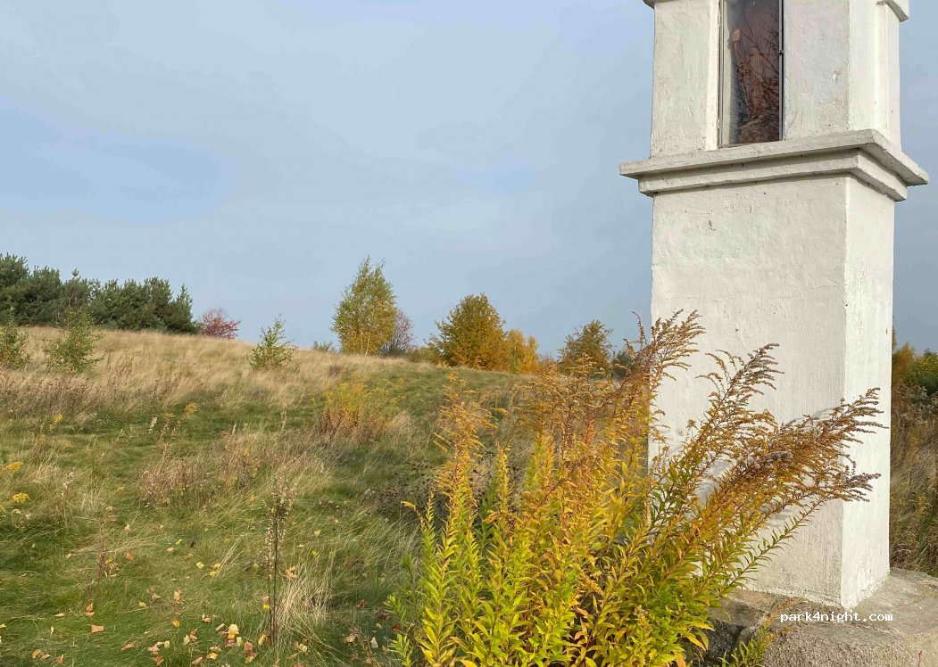 (95-010) Dobra-Nowiny - Kapliczka — foto 2
