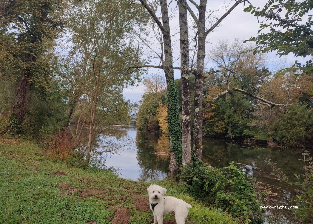 (24430) Marsac-sur-l'Isle - 48 Impasse du Vieux Moulin — foto 3