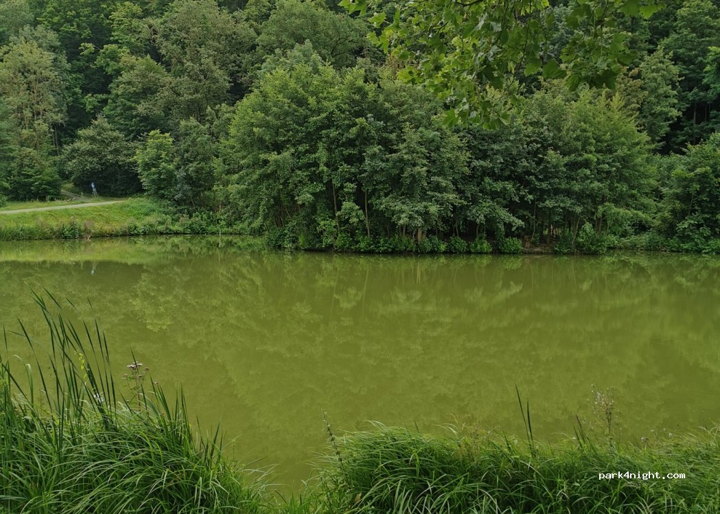 (75031) Eppingen - 5 Strandstraße — foto