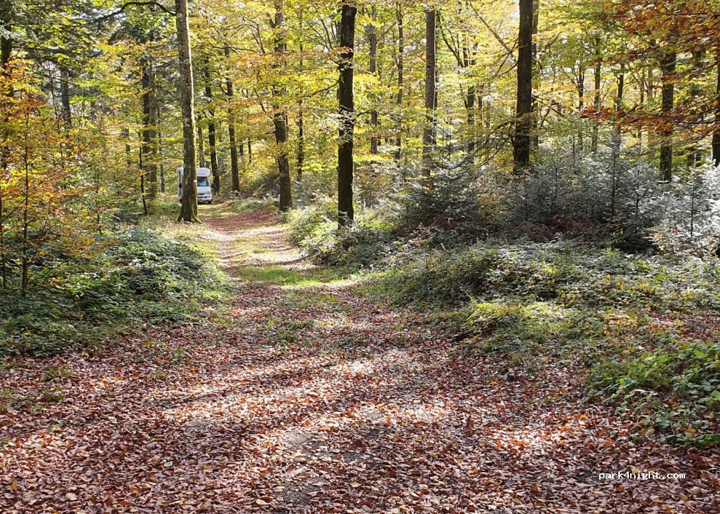 (34220) Courniou - Unnamed Road — foto