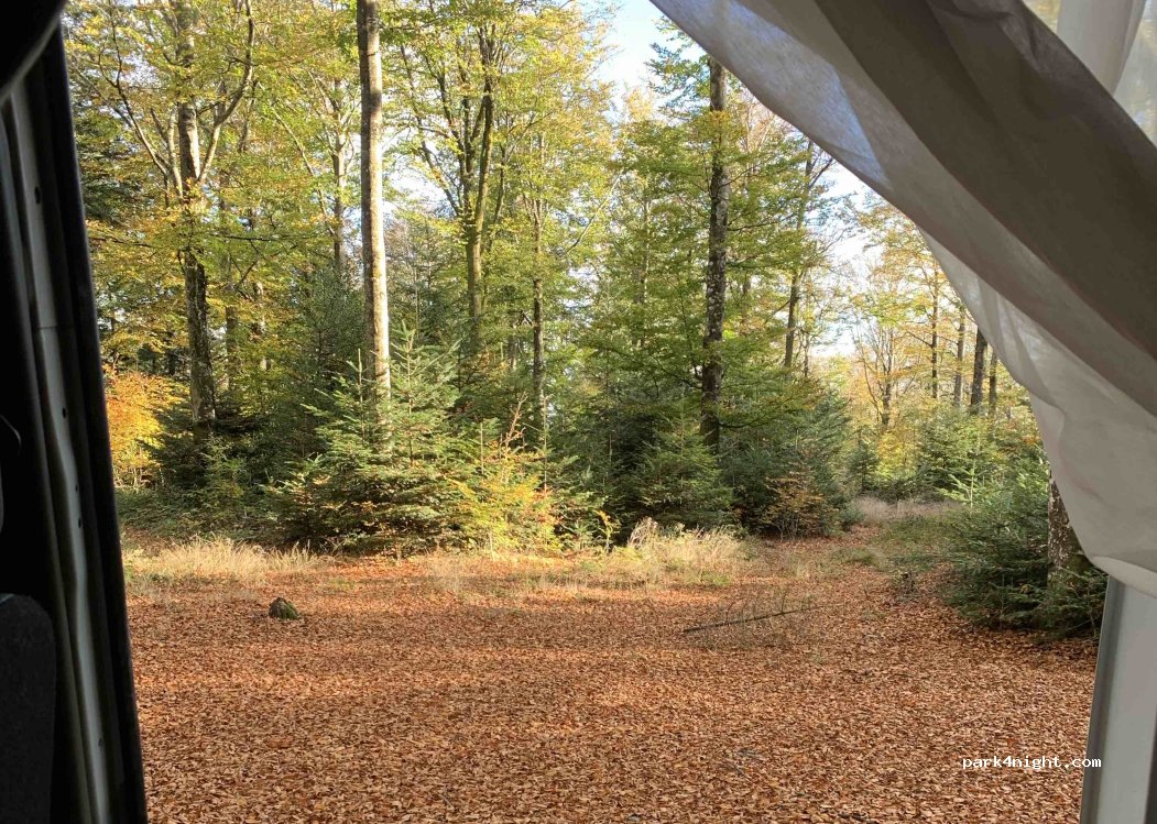 (34220) Courniou - Unnamed Road — foto 3