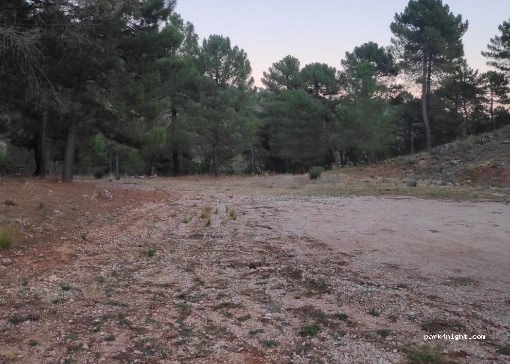 (02460) Collado - — foto 3