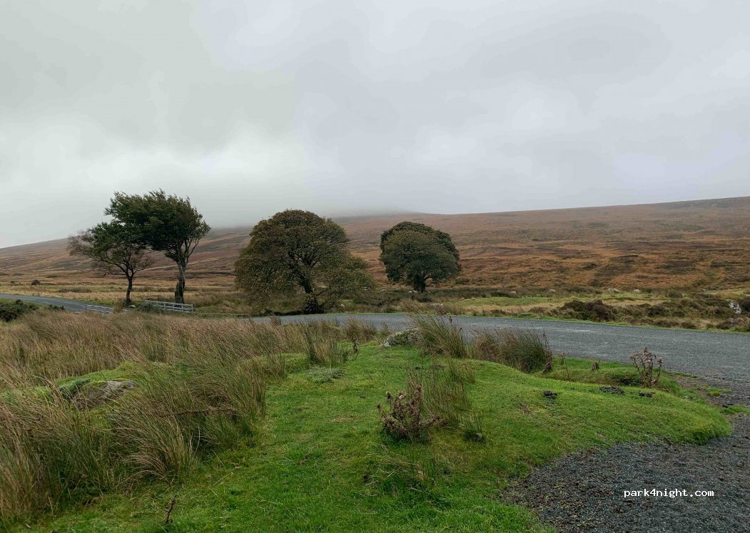 (4MQQ+36) Sally Gap - R759 — foto 2