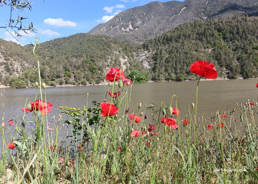 (25793) Coll de Nargó - Pantano De NARGO — foto 2