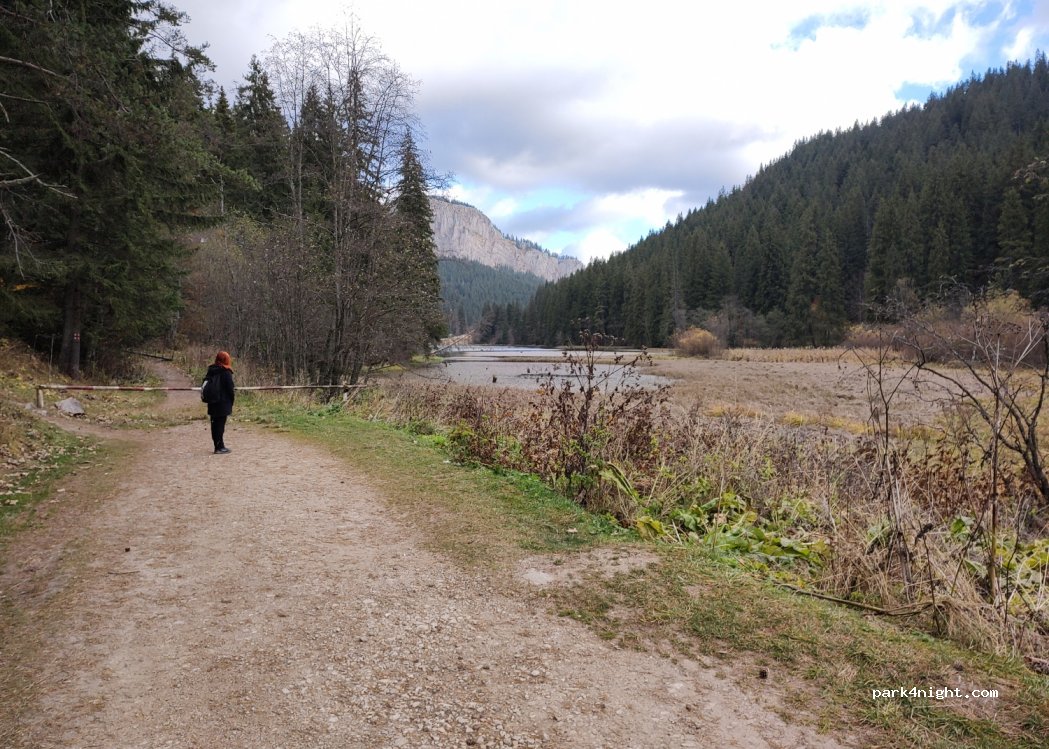 (535502) Lacu Roșu - Unnamed Road — foto