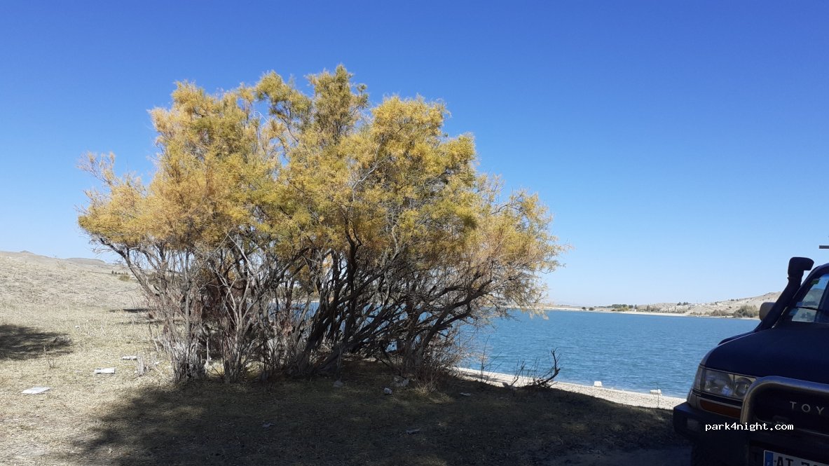 (50400) Cemil - Damsa Barajı — foto 3