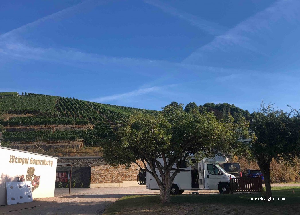 Weingut Sonnenberg — foto 4