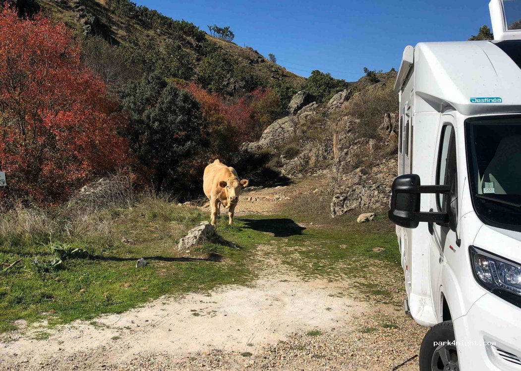 (28755) Horcajo de la Sierra - 1 Lugar de la Vega — foto 2