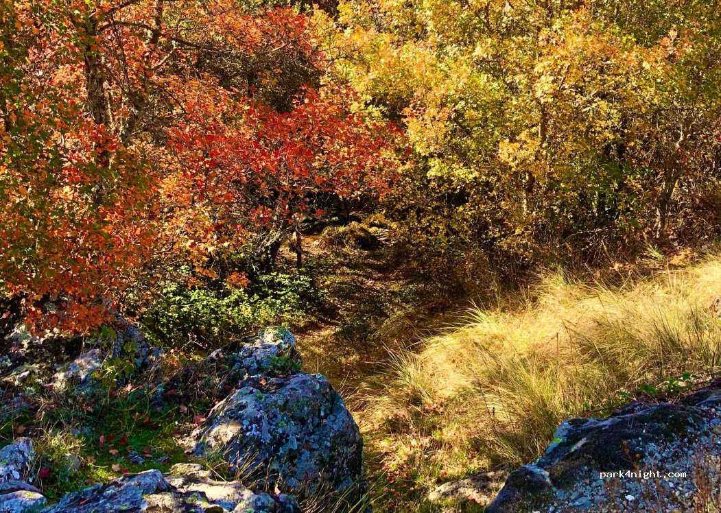 (28755) Horcajo de la Sierra - 1 Lugar de la Vega — foto 3