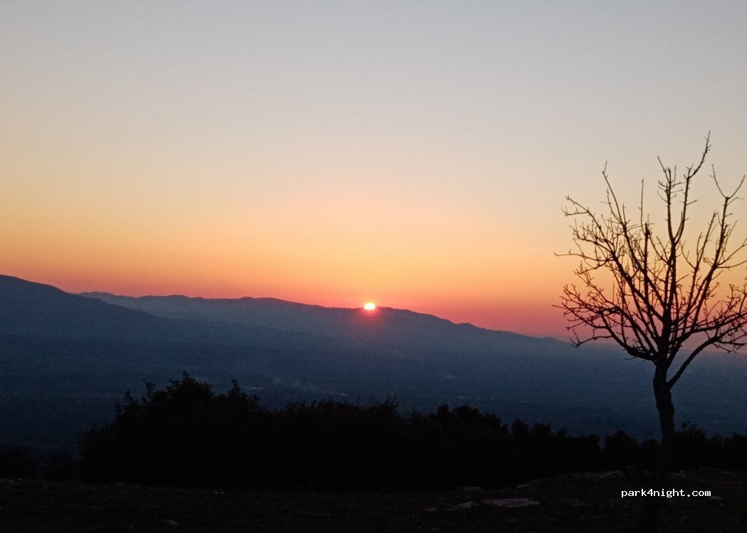 (26508) MIRALI - MIRALI — foto 4