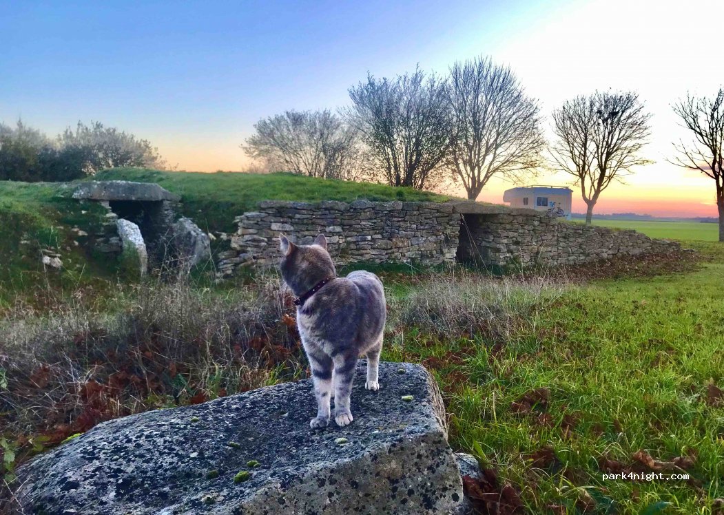 (79120) Sainte-Soline - Tumulus du Montioux — foto 2