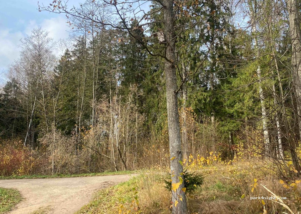 (53154) Gervėnupis - Unnamed Road — foto