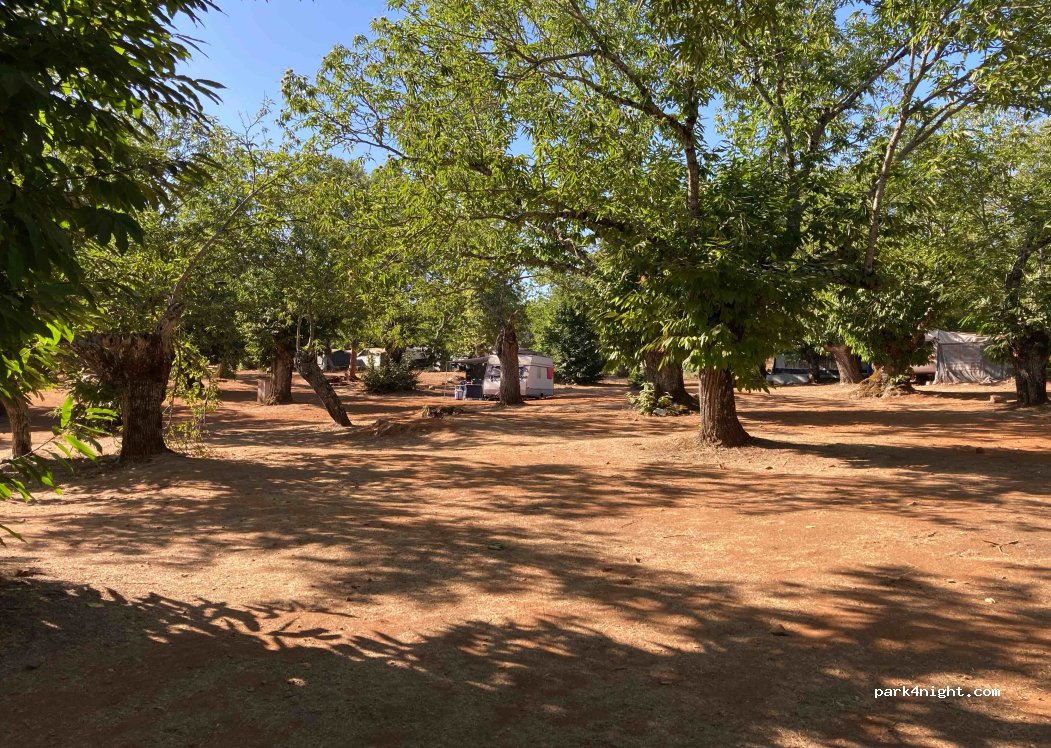 El Madroñal — foto 2