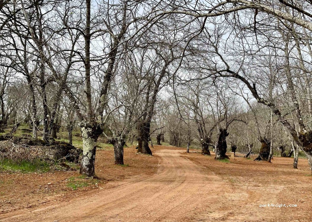 El Madroñal — foto 4