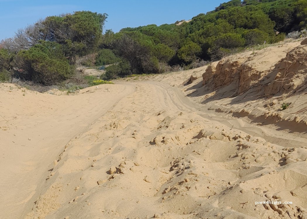 (21760) Matalascañas - Playa de Matalascañas — foto