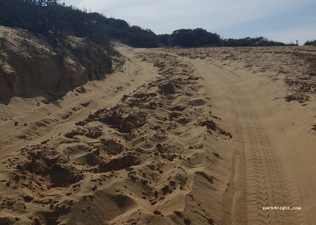(21760) Matalascañas - Playa de Matalascañas — foto 2